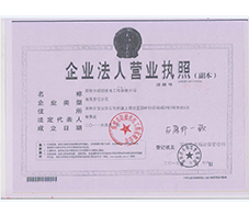 深圳正泰牌高压配电柜生产厂家产品